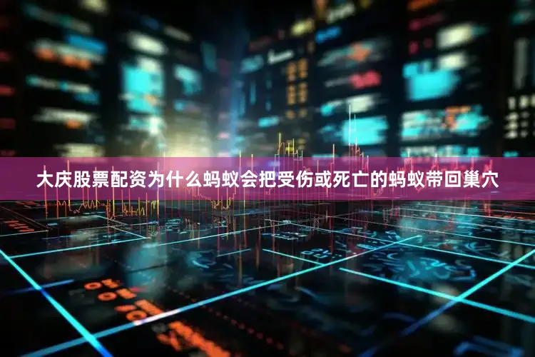 大庆股票配资为什么蚂蚁会把受伤或死亡的蚂蚁带回巢穴