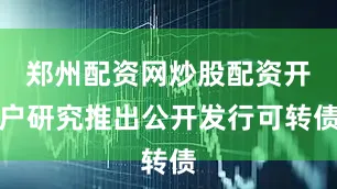 郑州配资网炒股配资开户研究推出公开发行可转债